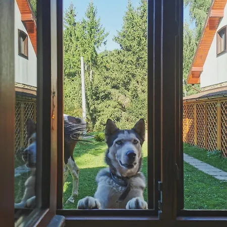 Jasminowe Wzgorze Station touristique