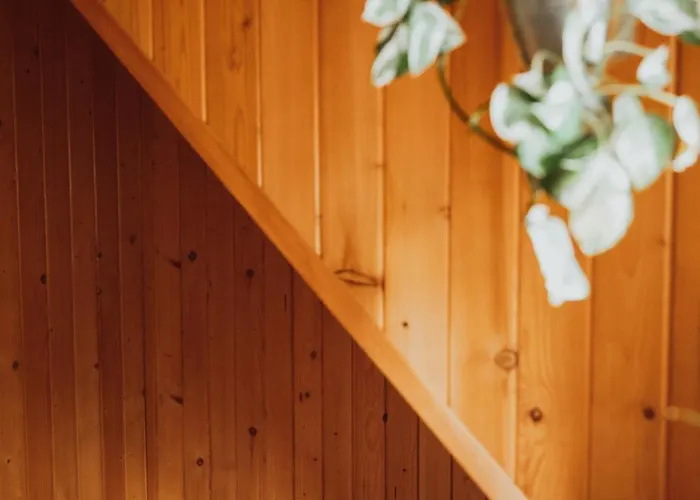 Jasminowe Wzgorze Wilkanow