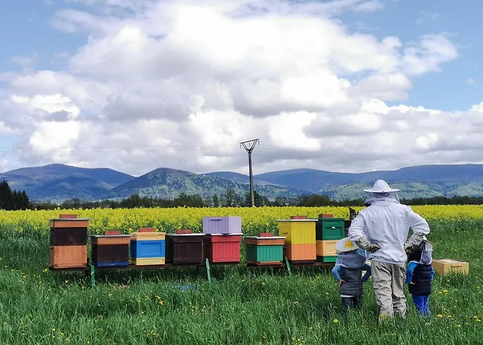 Resort Jasminowe Wzgorze Wilkanow