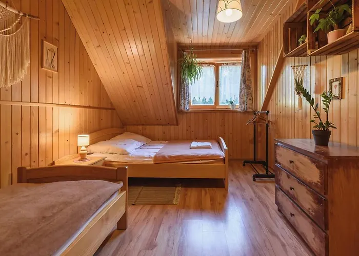 Jasminowe Wzgorze Wilkanow