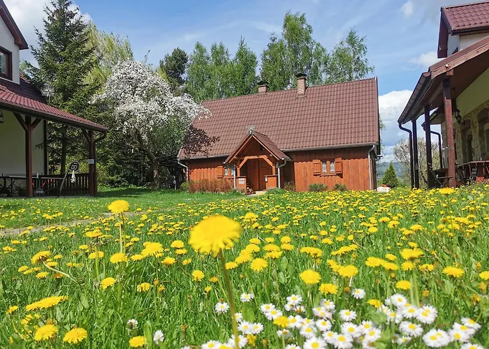 Jasminowe Wzgorze * Wilkanow