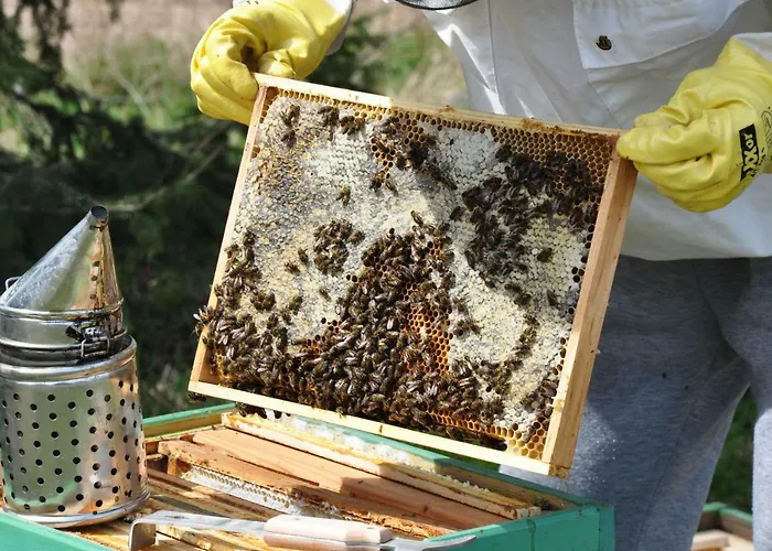 Resort Jasminowe Wzgorze